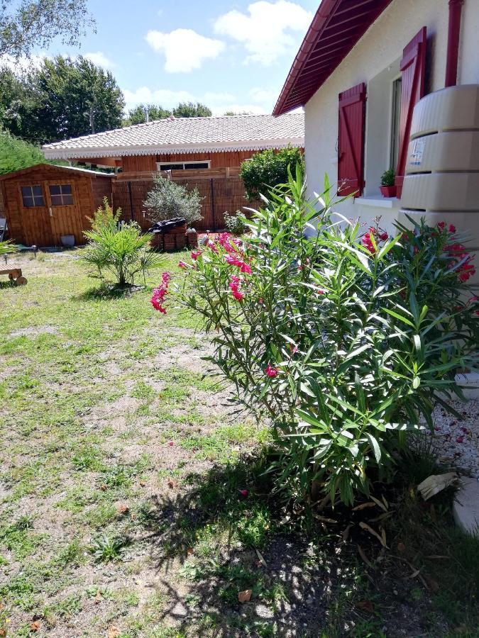 Appartement Manon à Biganos Extérieur photo